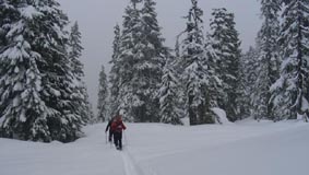 Skitouring Sporatt Whistler